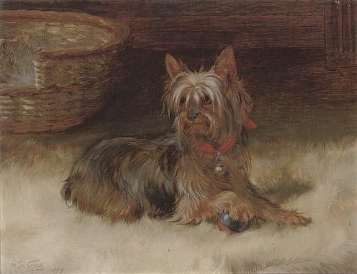 William Henry Hamilton Trood - Ready to play