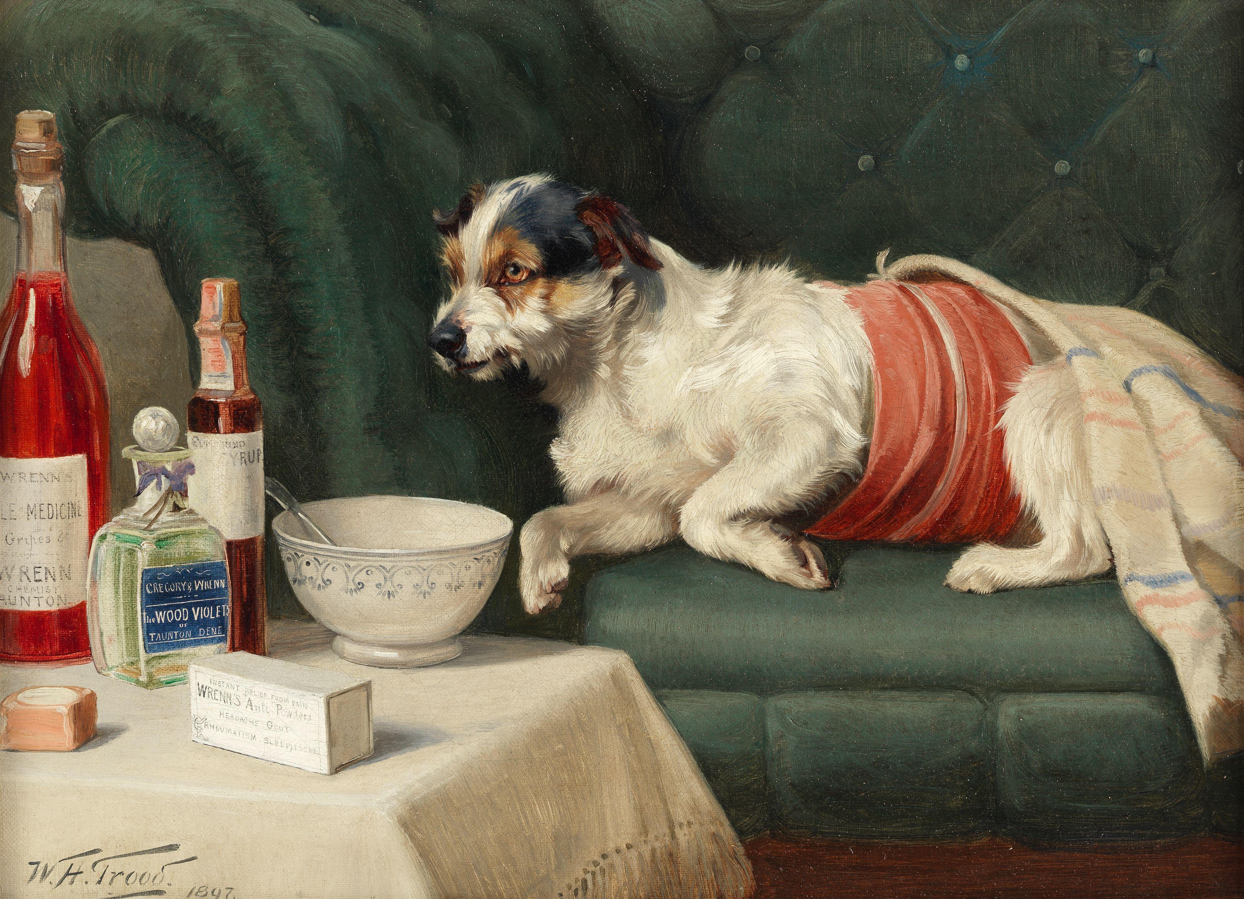 William Henry Hamilton Trood - The model patient