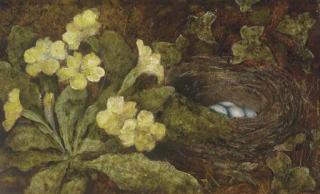 William Henry Hunt, O.W.S. - A primula and a bird\'s nest on a mossy bank