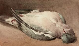 William Henry Hunt, O.W.S. - A Wood Pigeon