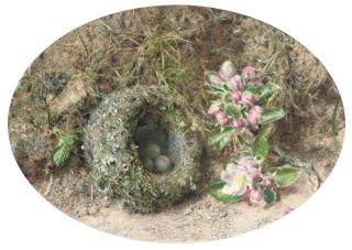 William Henry Hunt, O.W.S. - Apple blossom and a bird\'s nest on a mossy bank