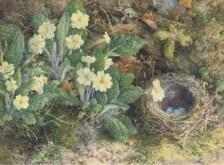 William Henry Hunt, O.W.S. - Primulas And A Bird\'S Nest On A Mossy Bank
