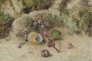 William Henry Hunt, O.W.S. - Still Life of A Shell And Berries On A Mossy Bank