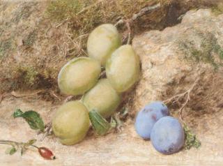 William Henry Hunt - Magnum Bonum And Orleans Plums