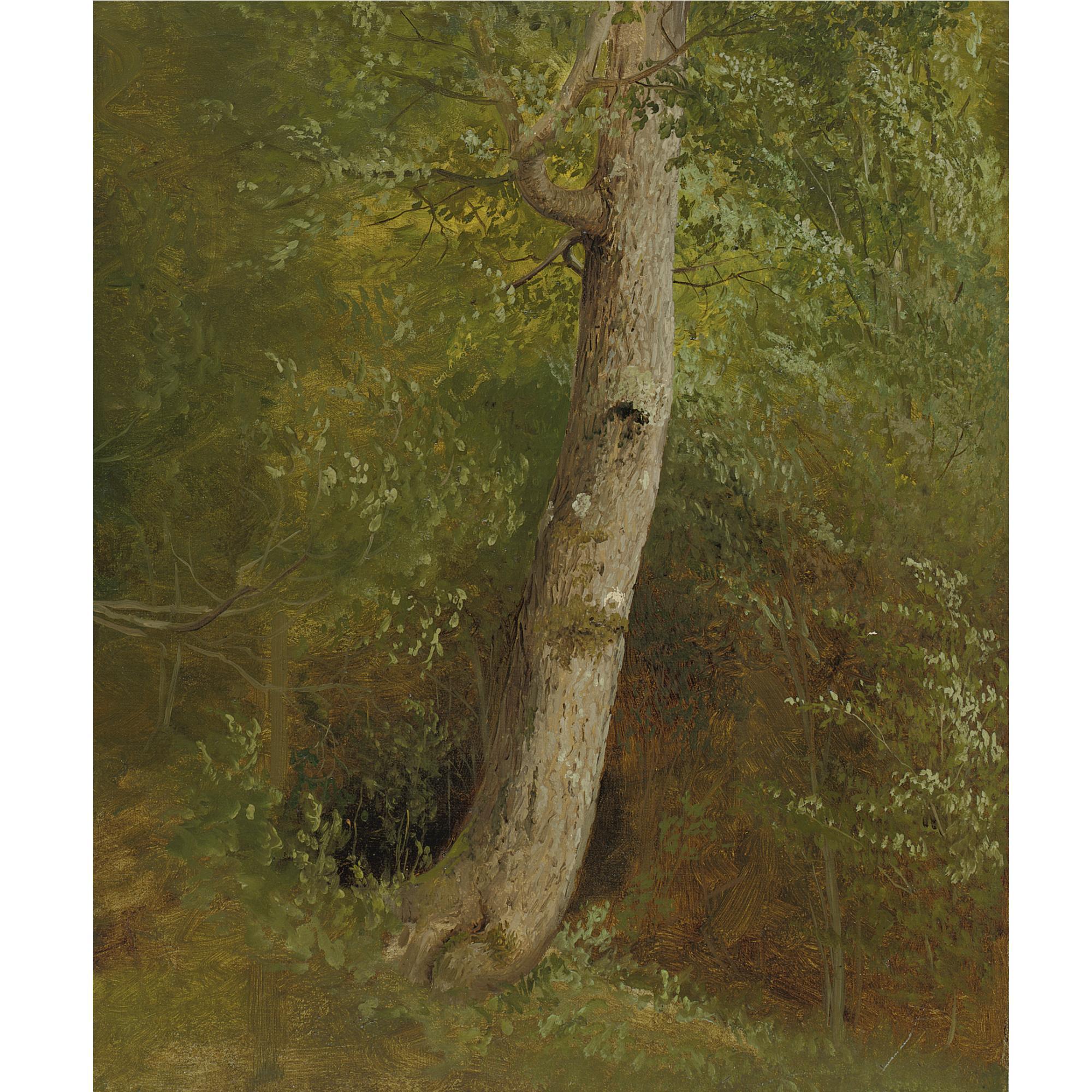 William Holbrook Beard - Study Of A Tree