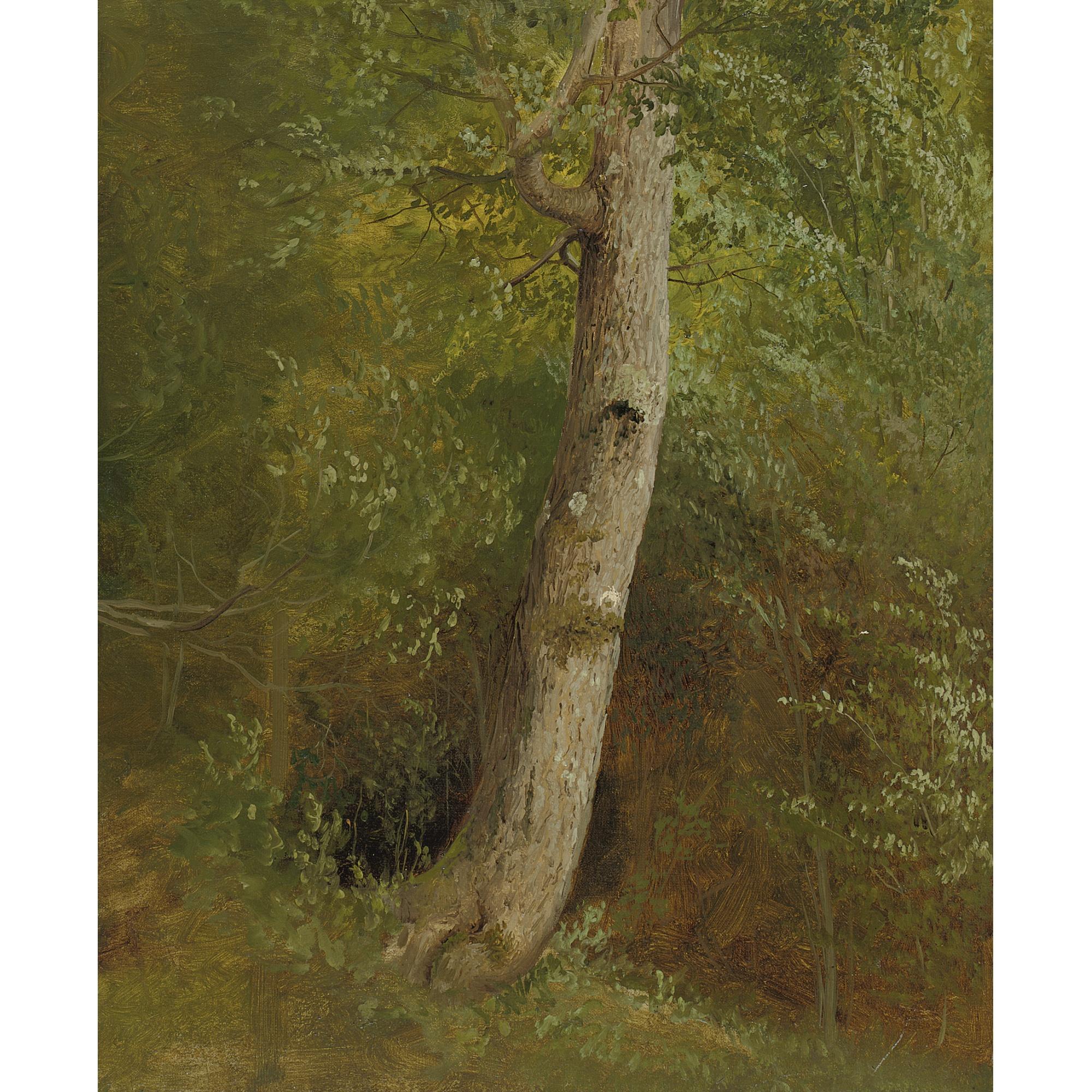William Holbrook Beard - Study Of A Tree