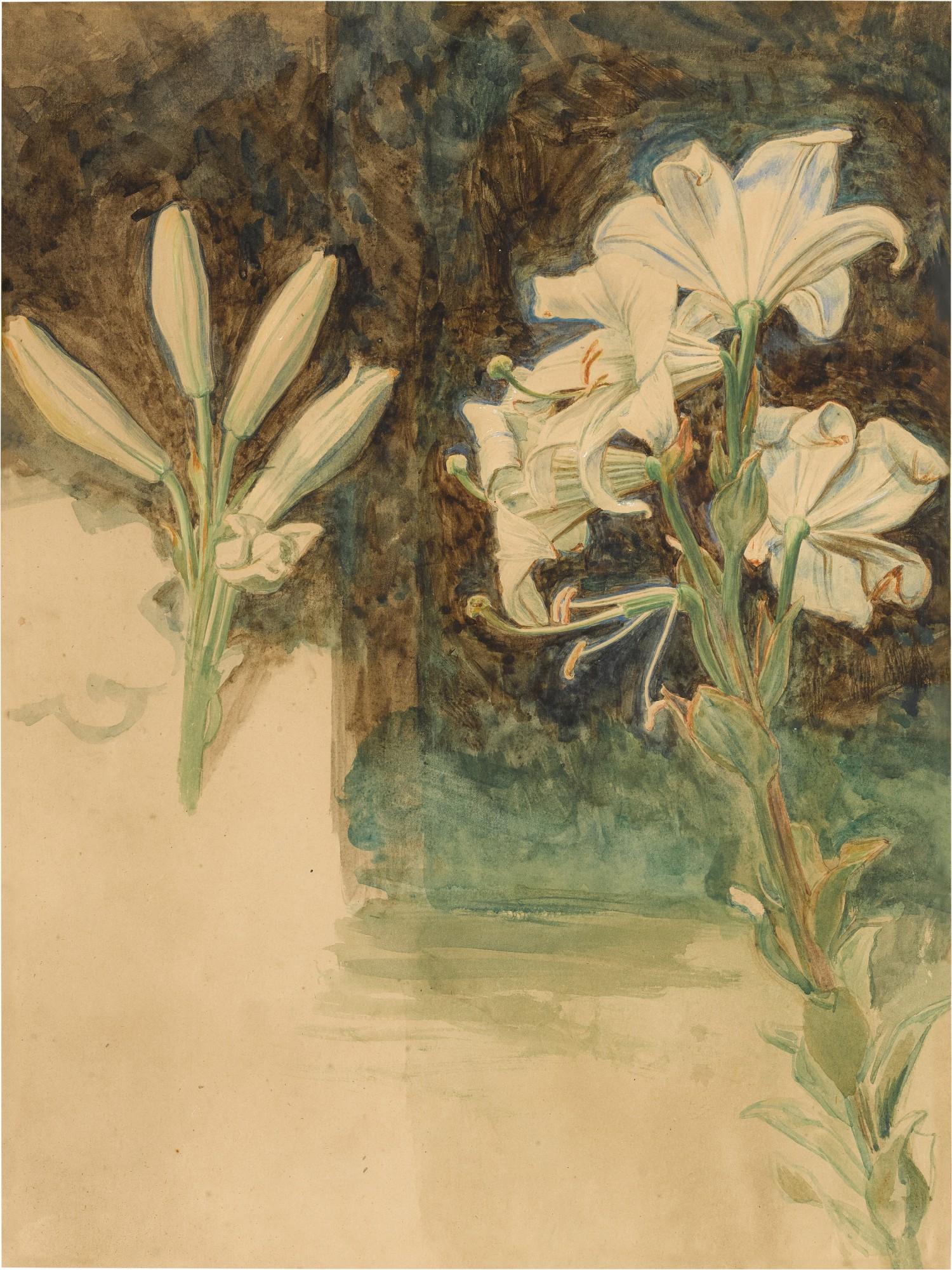 William Holman Hunt, O.M., R.W.S., A.R.S.A. - Study of Lilies for May Morning on Magdalen Tower