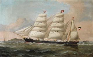 William Howard Yorke - Bark \