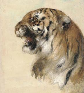 William Huggins - A Bengal tiger