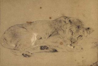 William Huggins - A lioness with her cub