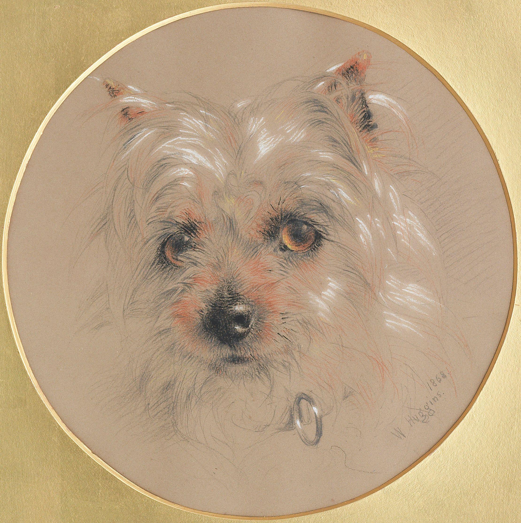 William Huggins - A Yorkshire Terrier