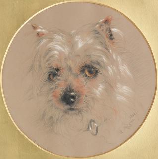William Huggins - A Yorkshire Terrier