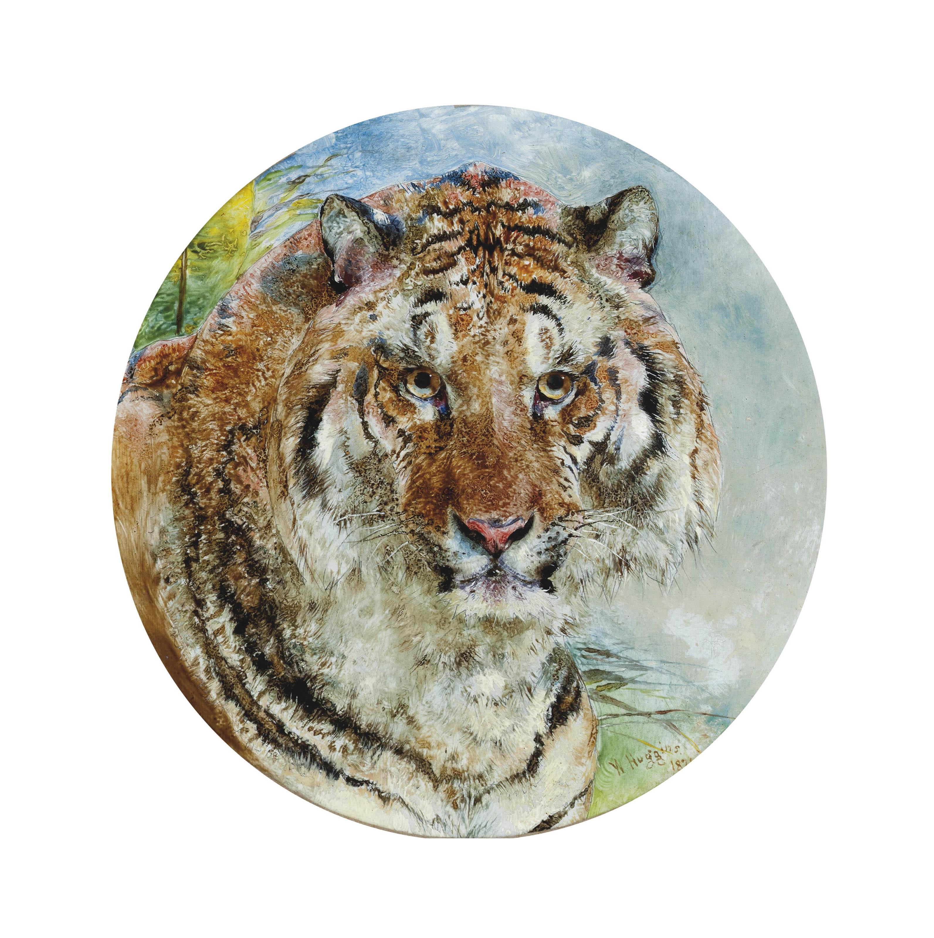 William Huggins - Head of a tiger