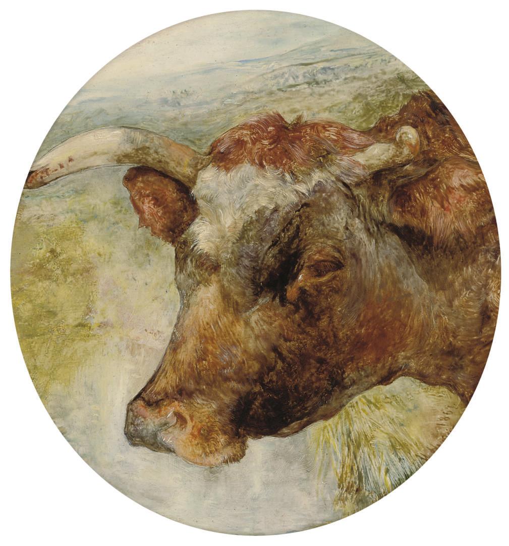 William Huggins - Head study of a longhorn cow