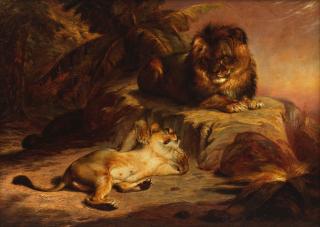 William Huggins - Lion and lioness