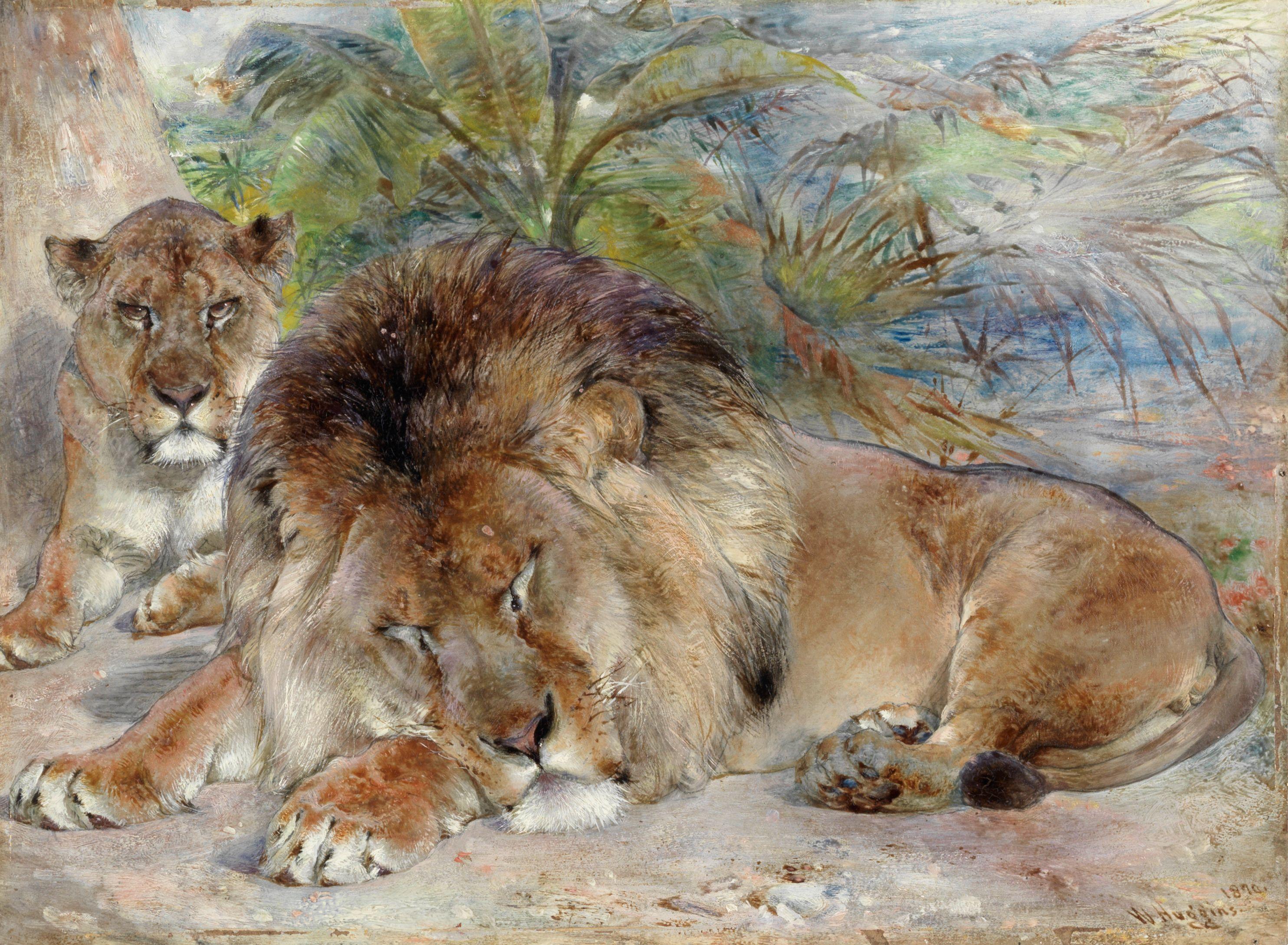 William Huggins - Lion and lioness