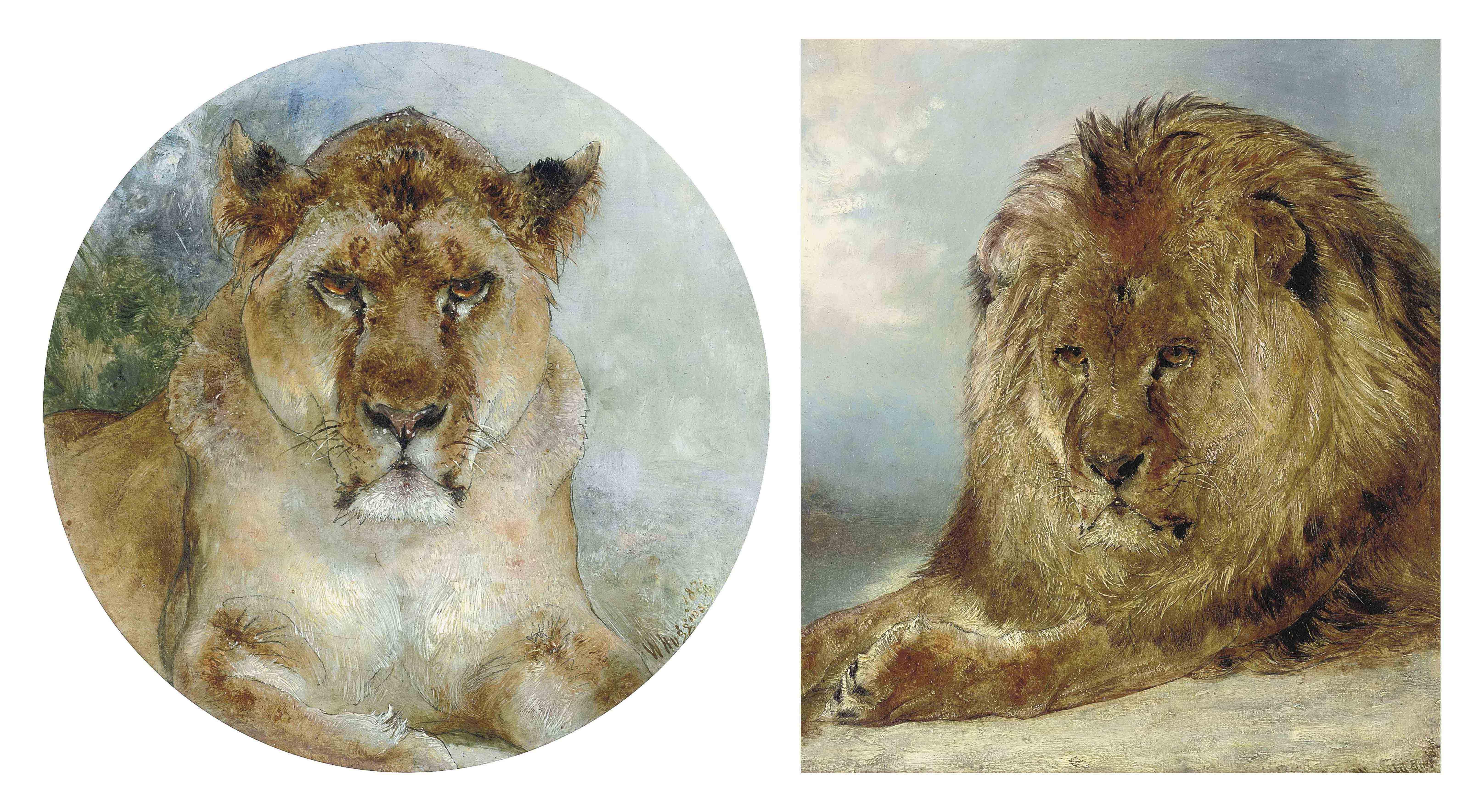 William Huggins - Resting Lion; And Lioness