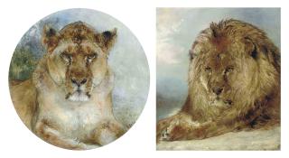 William Huggins - Resting Lion; And Lioness