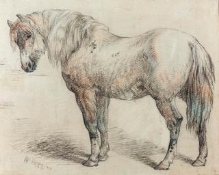 William Huggins - Study of a horse