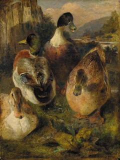 William Huggins - Study Of Mallards