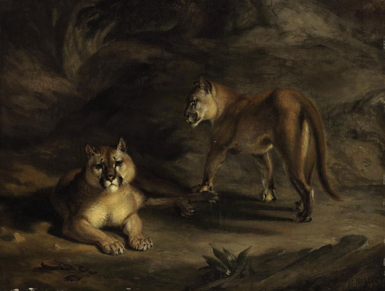 William Huggins - Two Pumas