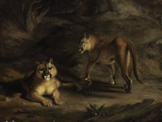 William Huggins - Two Pumas