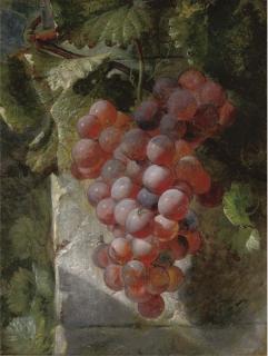 William Hughes - Grapes On The Vine