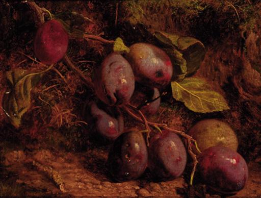 William Hughes - Plums on a mossy bank