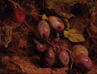 William Hughes - Plums on a mossy bank