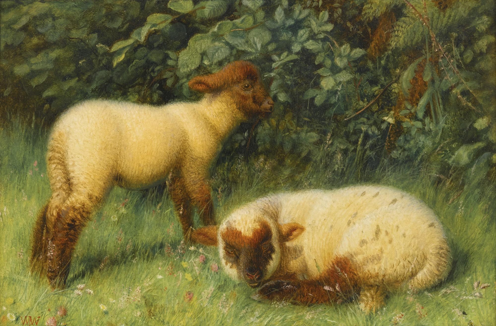 William J. Webbe - Early Lambs