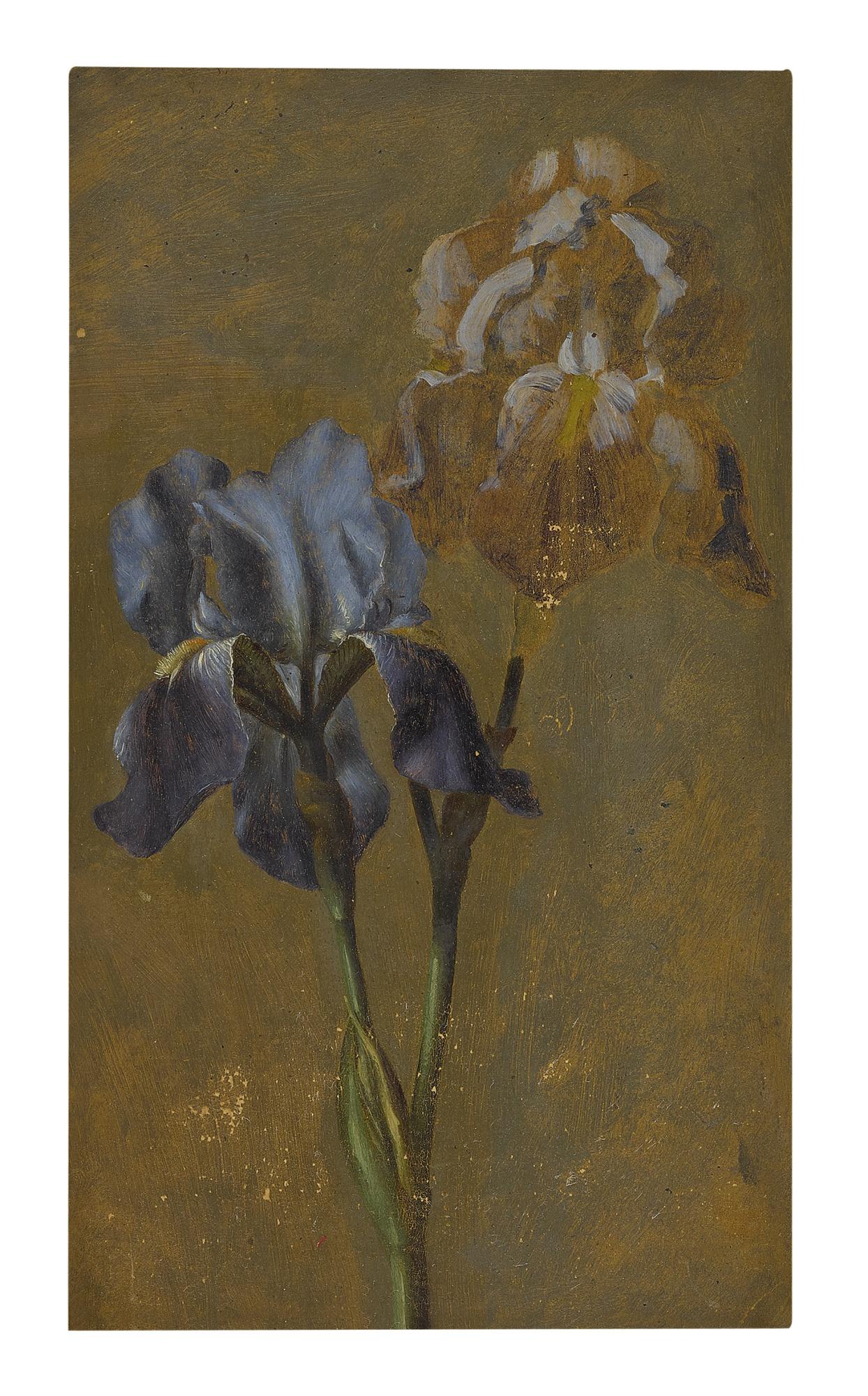 William Jacob Hays Sr. - Flowers