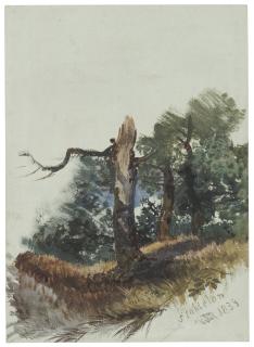 William James Müller - Sketch of trees at Stapleton, Bristol