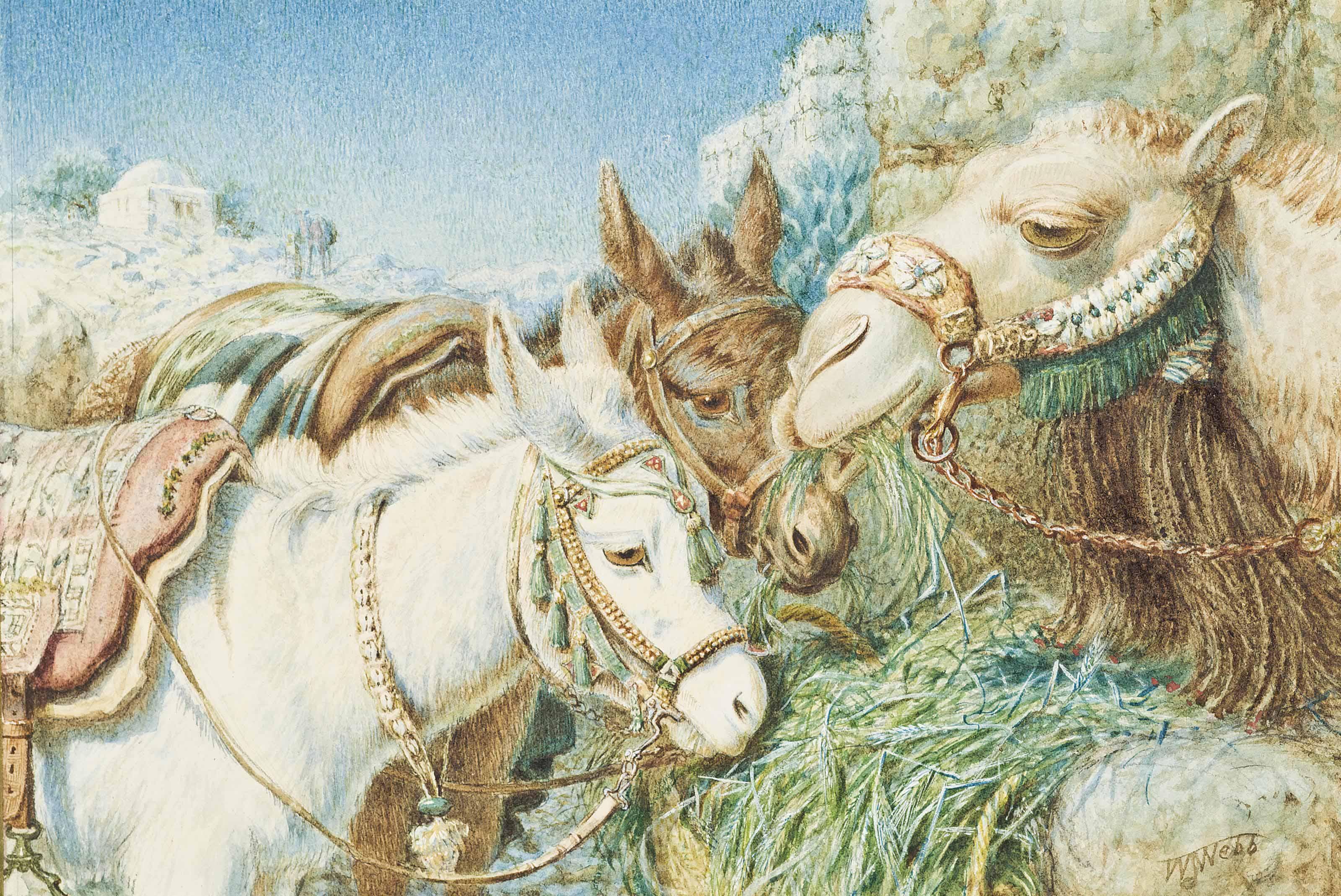 William James Webbe - A feed before the journey