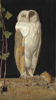 William James Webbe - The White Owl. \'Alone and warming his five wits, The white owl in the belfry sits\'
