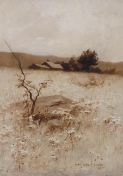 William John Whittemore - Meadow