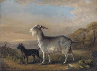 William Joseph Shayer - Dogs resting by a hay stook; and A goat and a terrier in a landscape