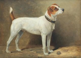 William Josiah Redworth - \'Nib\' - A Terrier