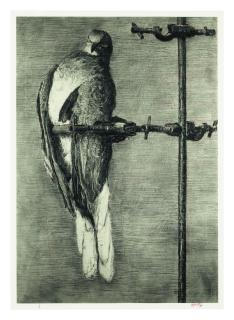 William Kentridge - Bird Catcher
