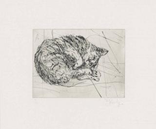 William Kentridge - Cat