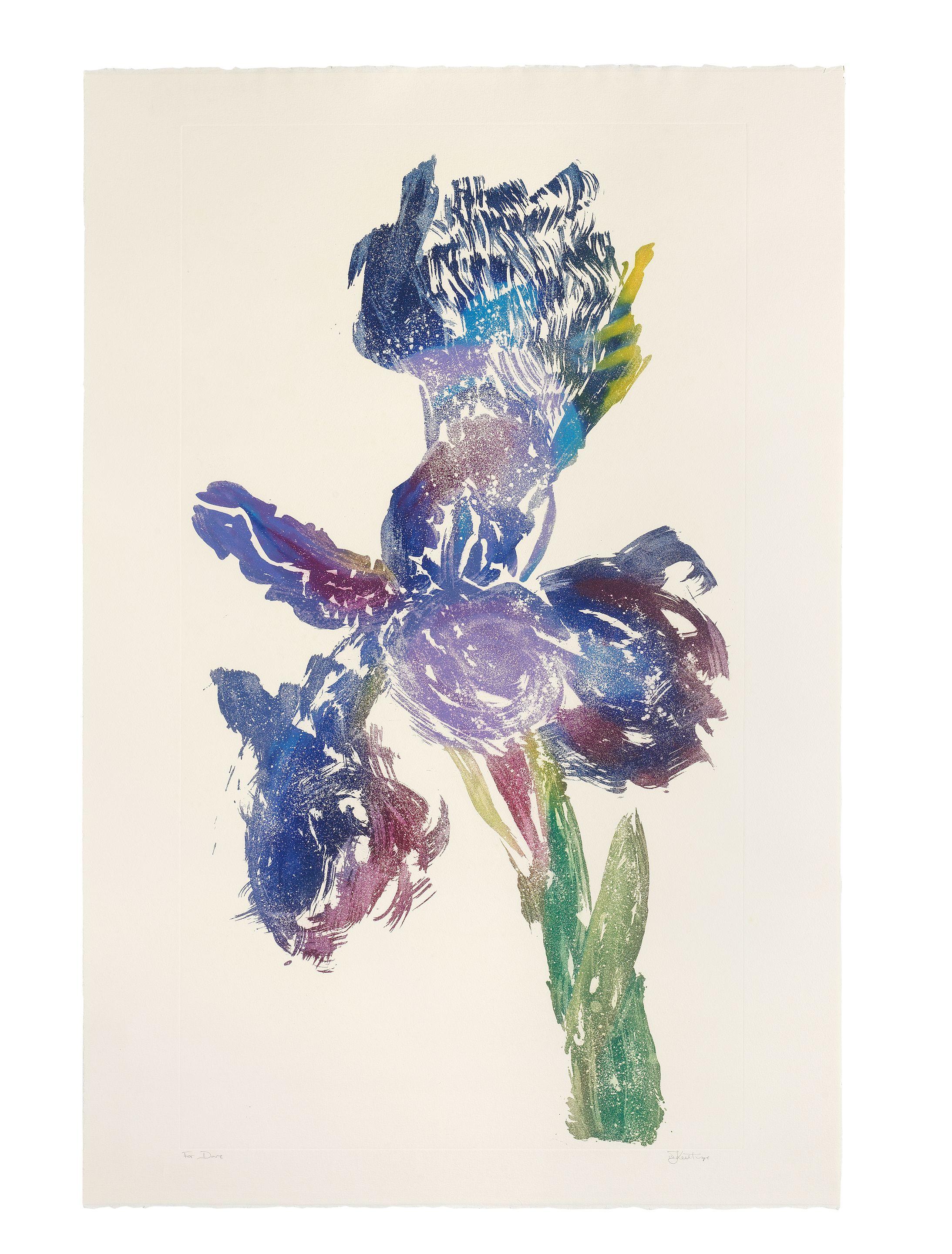 William Kentridge - Dutch Iris I