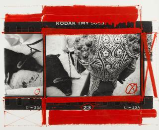 William Klein - Dead Bull, Nîmes