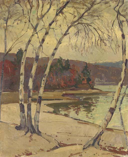 William Lester Stevens - Birches