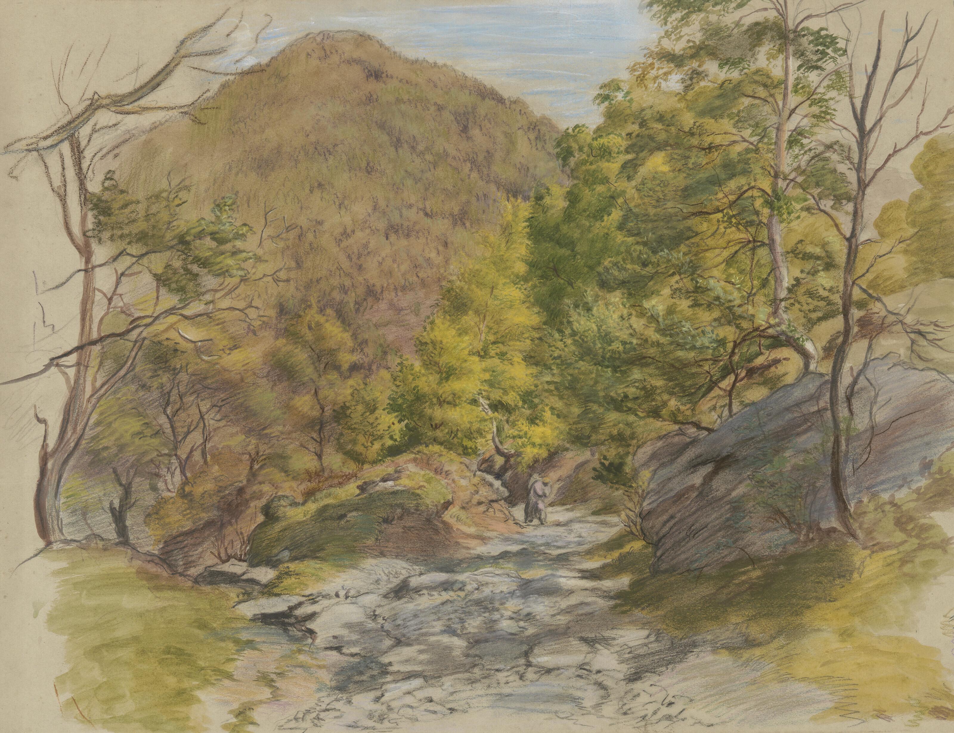 William Linnell - On the mountain road from Bettws-y-Coed to Dolwyddelan, North Wales