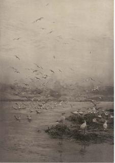 William Lionel Wyllie, R.A. - Gulls. Looking towards Cowes from the Hamble River
