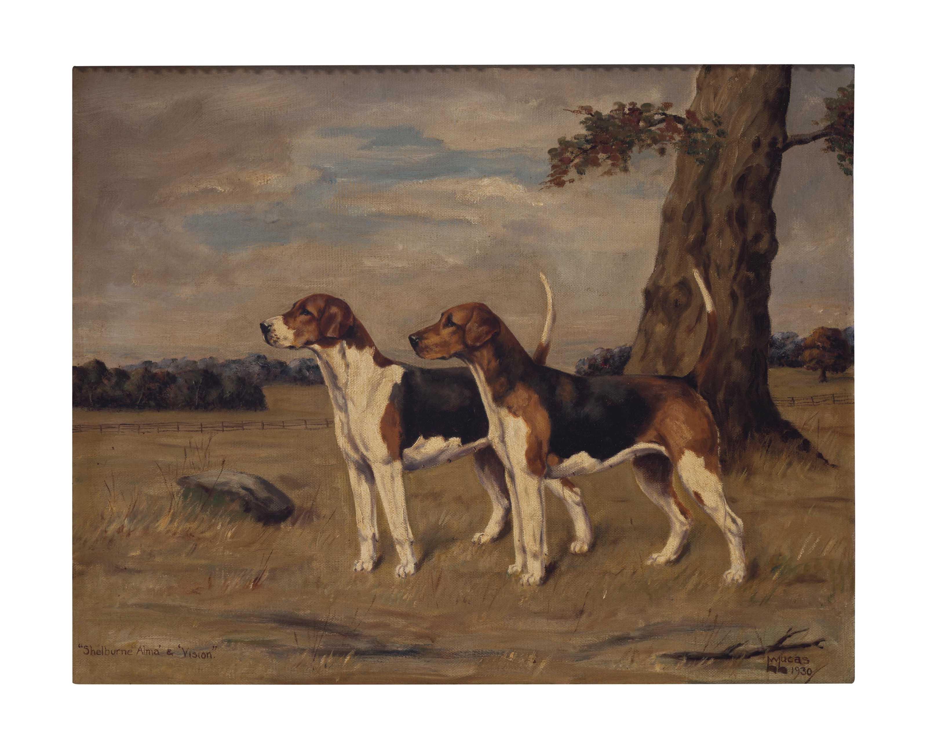 William Lucas Lucas - A Couple of Shelburne Foxhounds, Alma and Vision