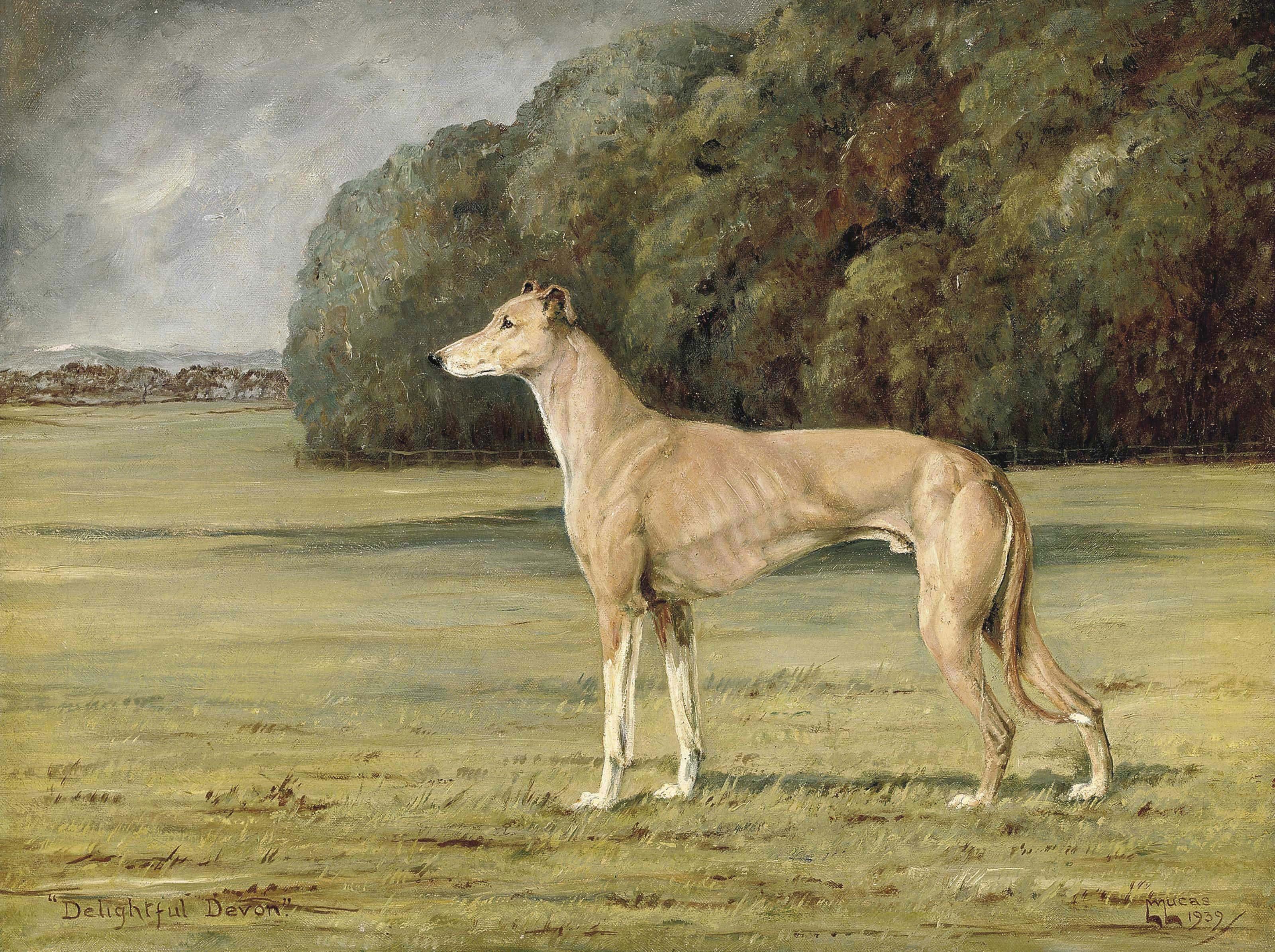 William Lucas Lucas - Delightful Devon, Winner Of The Waterloo Cup, 1939