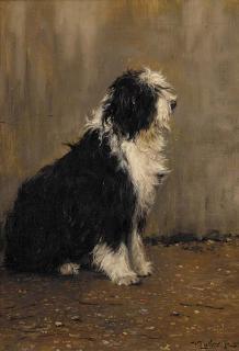 William Luker Jnr. - Heavy Weather, an old English sheepdog