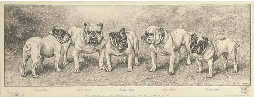 William Luker, Jnr. - Rival Stone; Dick Stone; British Stone; Ben Stone; Druid Stone, Five Bulldogs