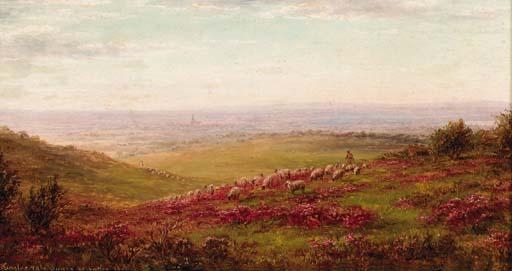 William Luker Snr. - Kingley Vale looking towards Chichester, West Sussex