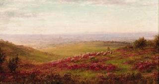 William Luker Snr. - Kingley Vale looking towards Chichester, West Sussex